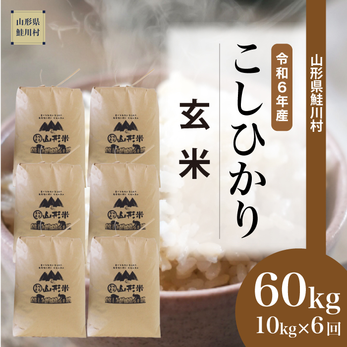 ＜令和6年産米 配送時期指定できます！＞　コシヒカリ【玄米】60kg定期便(10kg×6回)　鮭川村