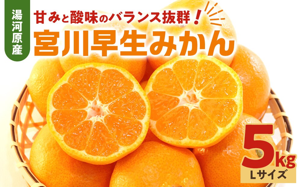 
                  甘みと酸味のバランス抜群・宮川早生みかん　5kg(Lサイズ) | 湯河原町 Lサイズ 5kg 宮川早生みかん 果物 旬 みかん フレッシュ
                