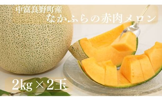 【2025年発送】なかふらのメロン 2玉（計4kg～）