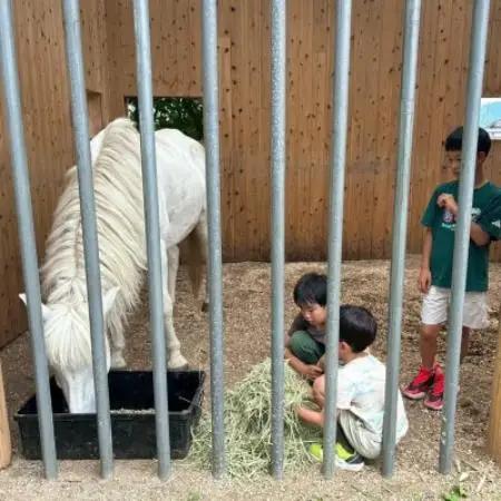 与謝野町 馬と暮らすセラピー体験　馬と触れ合う30分コース【1758586】