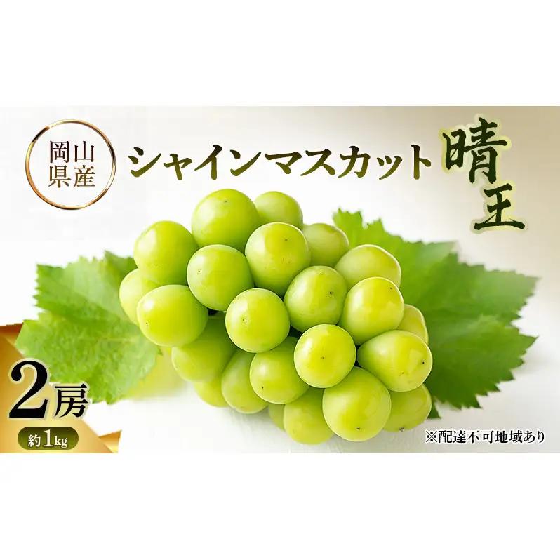 シャインマスカット 晴王 岡山県産 シャインマスカット【約1kg 2房】