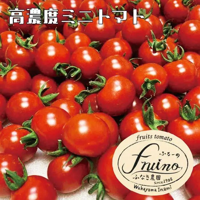 【2026年5月発送】フルーツトマト「fruino ふるーの」1箱（4パック）