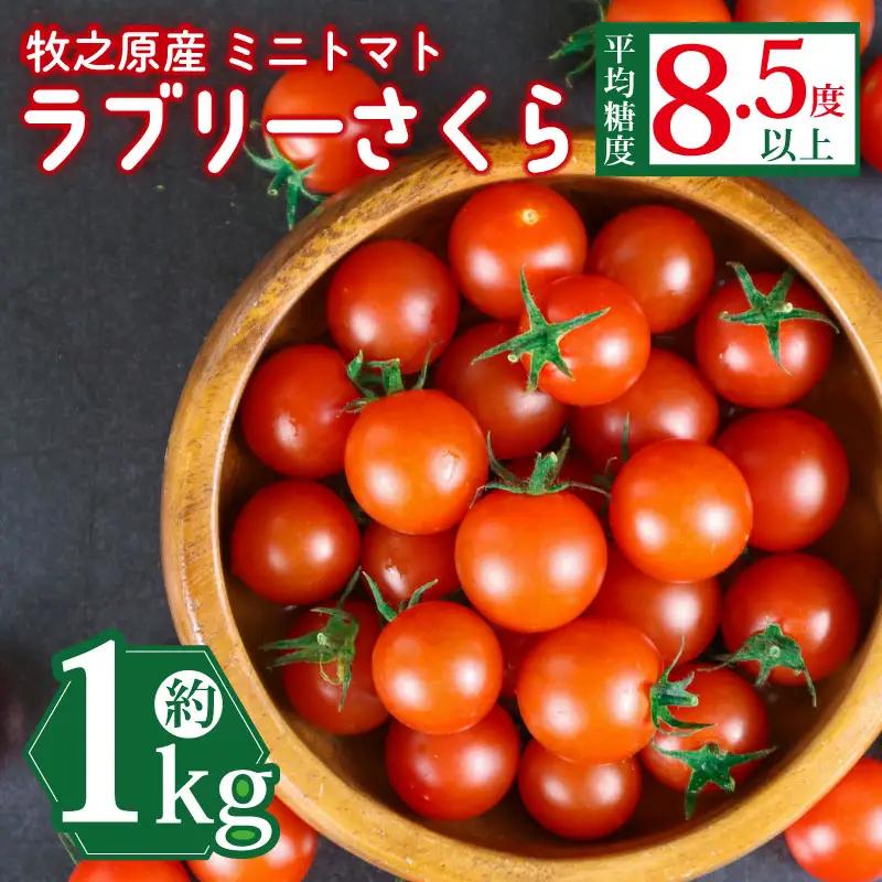 ミニトマト 1kg トマト 【ミニトマト】 山本農園