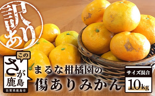 生産者応援！まるな柑橘園の傷ありみかん 約10kg サイズ混合 訳あり【2024年9月下旬出荷開始予定】B-455  