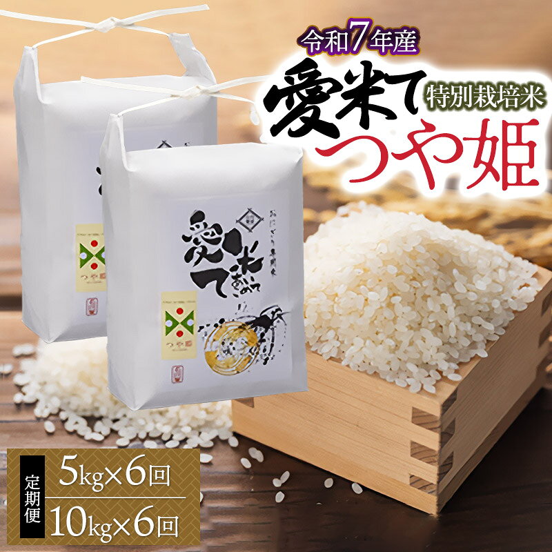 【ふるさと納税】令和7年産 特別栽培米 つや姫 精米　6ヶ月定期便　お選びください［5kg×6回・10kg(5kg×2袋) ×6回］　愛米て