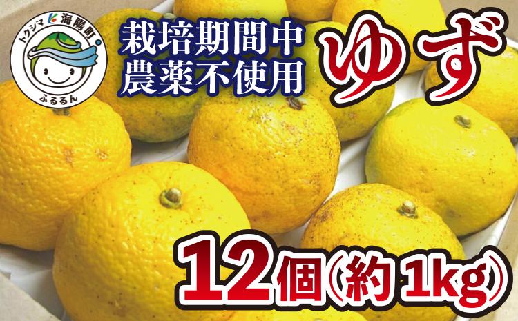 
            【期間限定】ワイルドゆず12個（約１kg） 期間限定 ゆず 12個 約1kg ワイルドゆず ユズ 柚子 訳あり
          