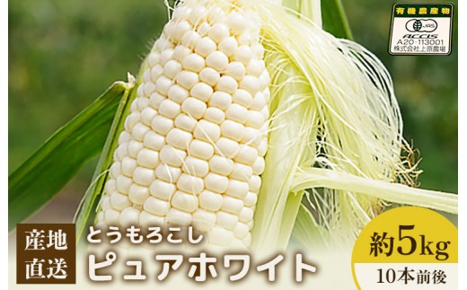 
                  【2026年度発送分】上原農場直送　有機栽培とうもろこし (ピュアホワイト) 約5kg 約10本前後 | ふるさと納税 北海道 中標津 なかしべつ とうもろこし ピュアホワイト とうきび コーン 野菜 夏野菜 夏 産地直送 新鮮 採れたて 朝採れ 甘い お取り寄せ ワンストップ マイページ 上原農場 中標津町【6601601】
                