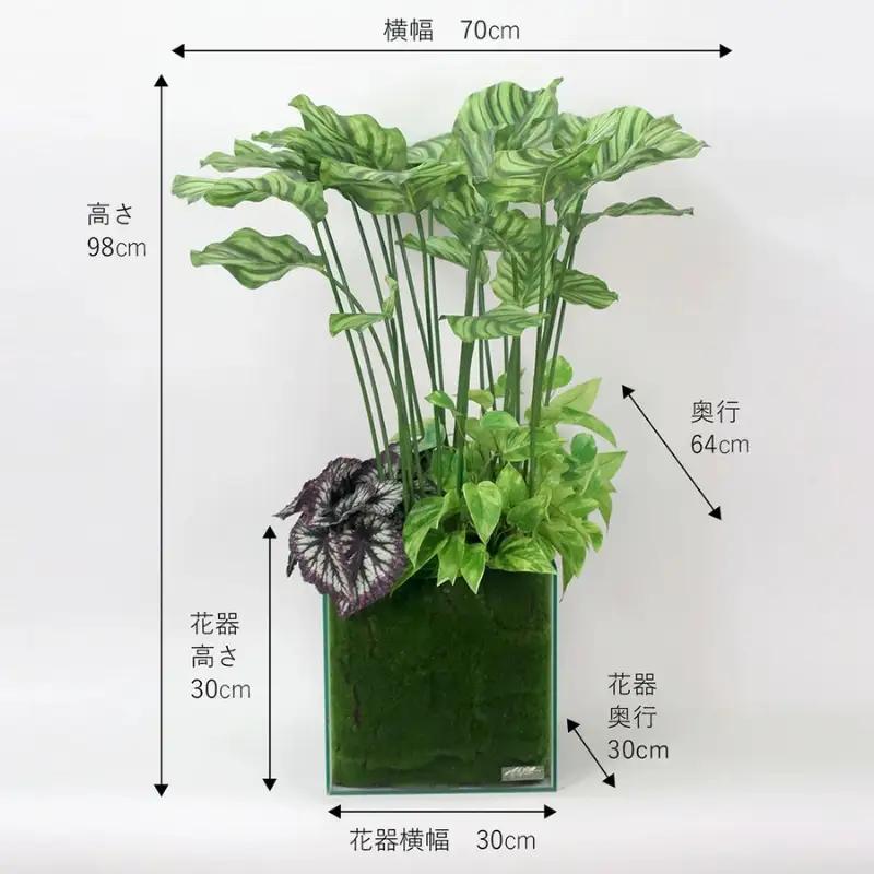 エミリオ・ロバ カラテア アーティフィシャルグリーン 造花 観葉植物 水やり不要 ボタニカル