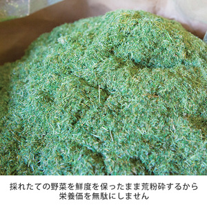 シリーズ累計販売数11億杯を突破した美味しく続けやすい「青汁三昧」×10か月分 　野菜不足  おいしい青汁 手軽な青汁 青汁 健康維持 大麦若葉 栄養 毎日 野菜 栄養機能食品 スティック 粉末 サポ