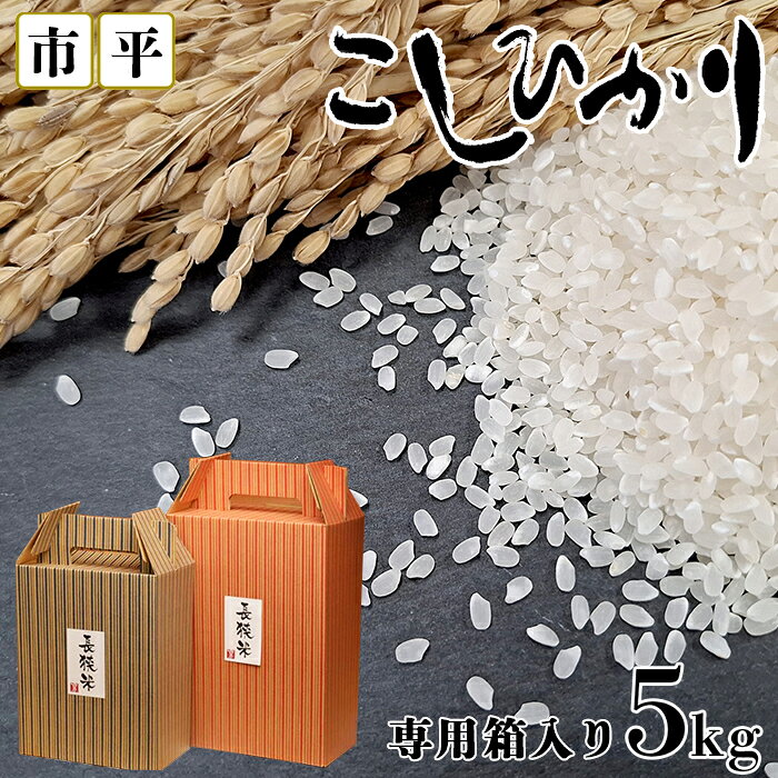 【ふるさと納税】【市平】令和8年産 ボックス入り長狭米コシヒカリ5kg [0014-0044]
