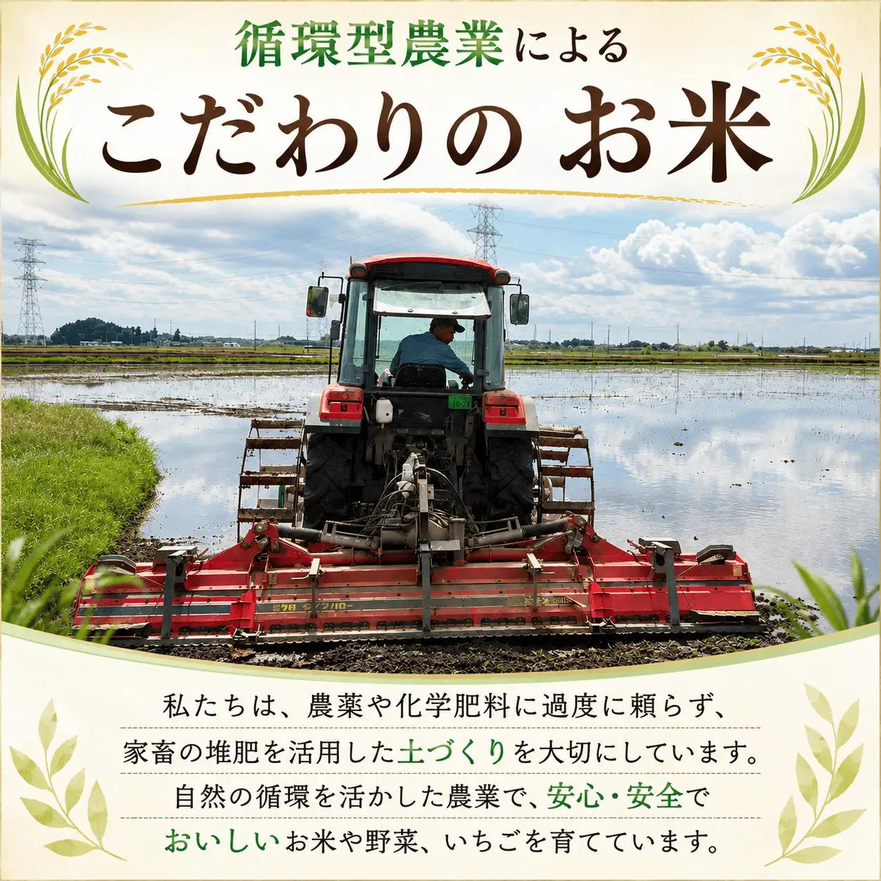 【玄米】 国産 100% 30kg 玄米