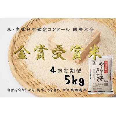 ふるさと納税 阿賀野市 【令和8年産先行受付】【4回定期便】玄米黒酢農法コシヒカリ「やまびこ米」5kg(白米)
