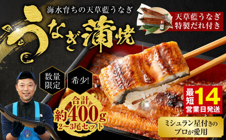 【令和8年度熊本地震復興支援】【ミシュラン星付きのプロが愛用】1日10セット限定！海水育ちの天草藍うなぎ 蒲焼き 2～3尾セット【合計約400g】数量限定!! 鰻 ウナギ うなぎ うなぎ蒲焼 鰻の蒲焼