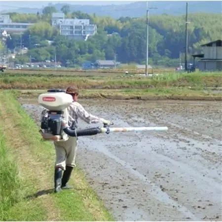 【令和8年10月中旬以降発送】ひのひかり(奈良県天理産)玄米30kg【令和8年産】(一等米)_ 玄米 米 こめ コメ_【1085320】