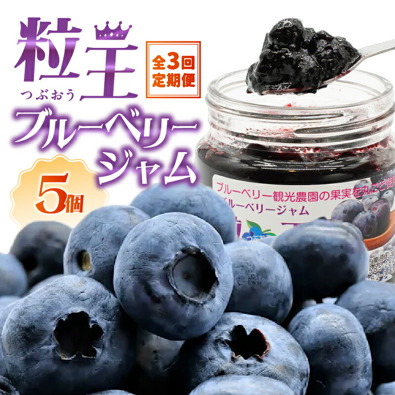 【ふるさと納税】【定期便3回・2ヶ月に1回発送】粒王　ブルーベリージャム 計3kg[200g×5個×3回] 手摘みブルーベリーの無添加ジャム！ 定期便 お楽しみ ブルーベリー 果物 フルーツ ジャム ブルーベリージャム 無添加 常温【ブルーベリー観光農園ワダ】