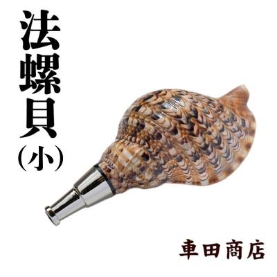ふるさと納税 吉野町 法螺貝(小)《車田商店》