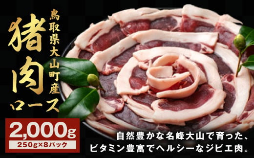 
GB-12　猪肉　ロース　2kg（250g×8パック）
