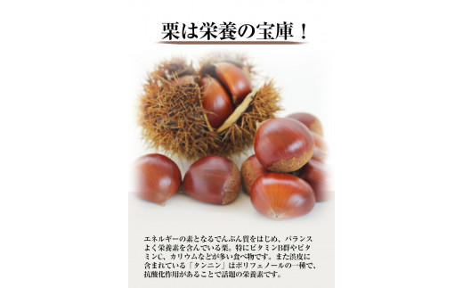 生栗 熊本県御船町産限定 約2kg(2L-Lサイズ) 期間限定 野菜 予約 スイーツ きんとん 甘露煮 渋皮煮《9月上旬-9月下旬頃出荷》---mifune_lcl_200_2---
