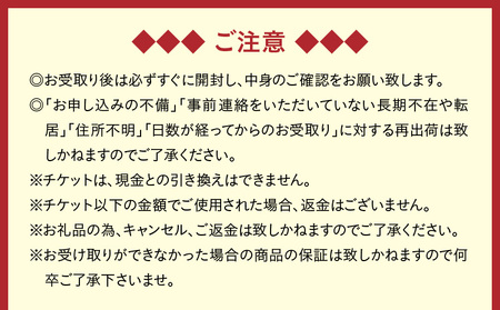 【 昼間 遊覧飛行 】鹿児島 満喫 コース（桜島＋鹿児島市内）　セスナ式 172型（大人3名まで）　K222-FT003 旅行 観光 景色 写真撮影 遊覧 空 チケット 送料無料 鹿児島市 土産 贈り