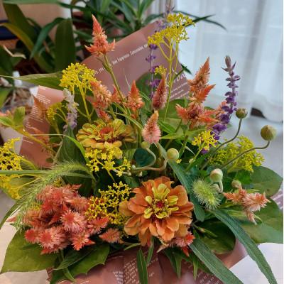 ふるさと納税 小田原市 【毎月定期便】季節のお花で幸せを届けます「季節の生花アレンジ」Sサイズ全6回 |  | 01