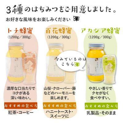 ふるさと納税 飛騨市 アカシア蜜 1200g[Q1200] |  | 01