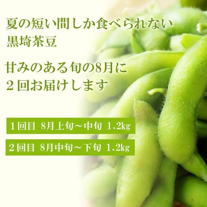 【先行予約・2回お届け定期便】朝採り くろさき茶豆 1.2kg×2回（計2.4kg）｜芳醇な香りと濃厚な旨み〈GI登録産品〉2026年8月発送