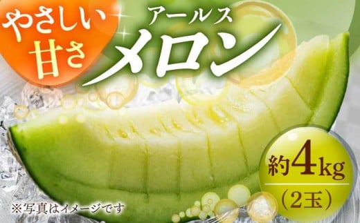 【先行予約】 アールスメロン 約4kg（2玉）2026年先行予約8月発送 《小値賀町》【ながさき西海農協小値賀地区園芸部会】[DAT002] メロン めろん meron 青肉 甘い フルーツ 果物 くだもの melon デザート 贈答 ギフト プレゼント 産直 産地直送 2玉