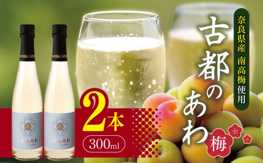 古都のあわ～梅～ スパークリングワイン300ml×2本 |  お酒 酒 おさけ スパークリング 梅 南高梅 梅シロップ ワイン 奈良県 五條市 お祝い ギフト 人気 おすすめ お試し おすすめ 送料無料 お試し 株式会社泉屋 アルコール 飲料 フルーティー