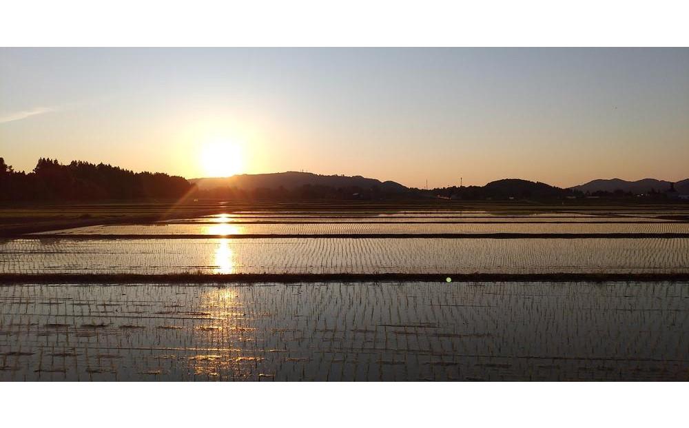 令和7年産先行予約　無洗米　魚沼産コシヒカリ特別栽培米　5kg