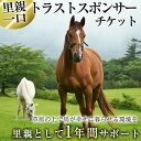 【ふるさと納税】馬主のいない馬を助けたい！トラストスポンサーチケット(1枚) 里親として1年間サポートするシステムです 馬 競走馬 競馬 乗馬 乗用馬 里親 ペット サポート【NPO法人ホーストラスト】