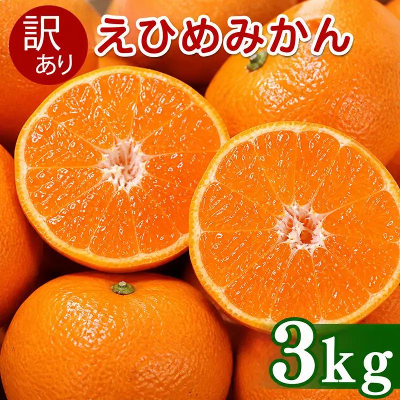 【先行予約】訳あり 愛媛みかん 3kg  傷み補償 250g 清家ばんかんビレッジ
