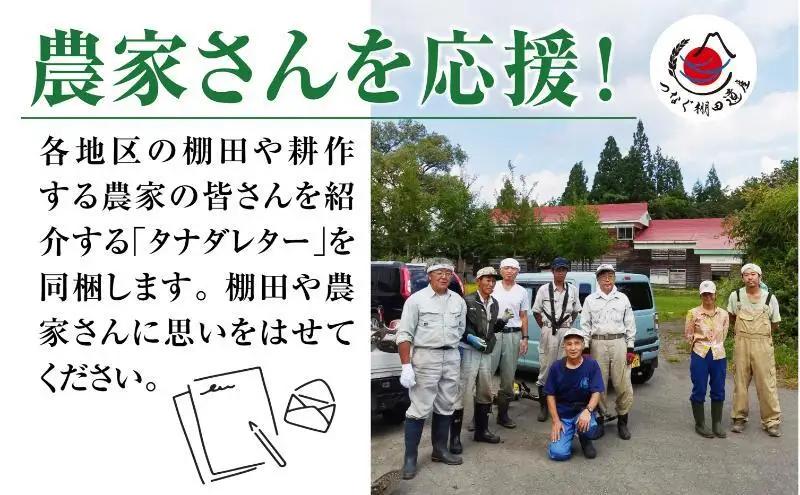 【令和8年産 先行予約】【定期便／全4回】無洗米2kg　新潟県十日町市魚沼産コシヒカリ「つなぐ棚田米」 米 こしひかり 無洗米 定期 十日町市