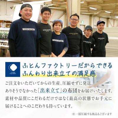 ふるさと納税 高松市 国産防ダニ敷きパットSW　セミダブル　120x200サイズ |  | 03
