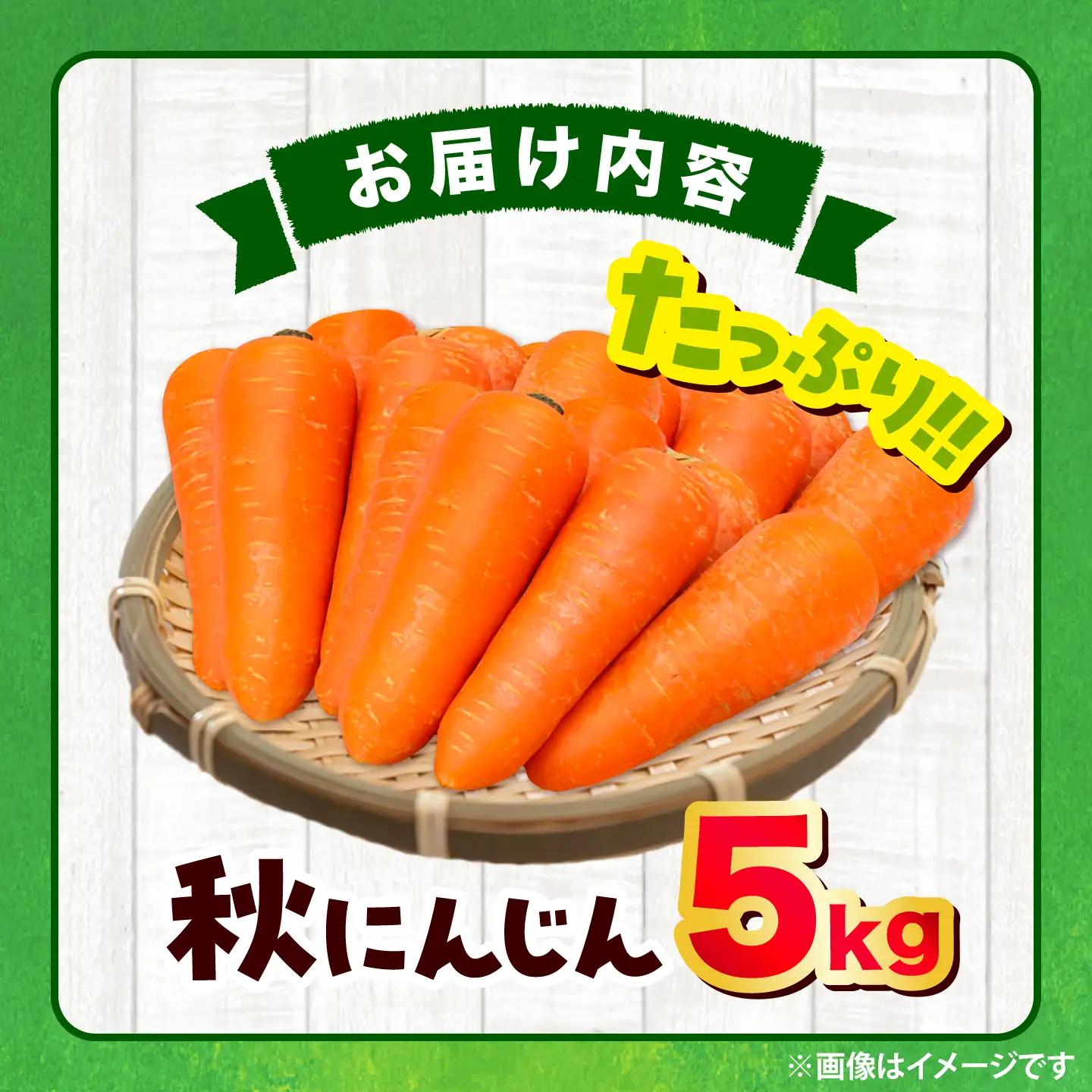 【先行予約】【2026年12月順次発送開始】秋にんじん5kg / にんじん ニンジン 野菜 β-カロテン 食物繊維 抗酸化作用 栄養満点 熊本県産 菊陽町　【株式会社 まゆみ農園】[BHCW015]