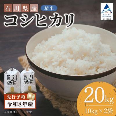 ふるさと納税 小松市 【先行予約】令和8年産 石川県産コシヒカリ 精米 20kg(10kg×2袋) 白米 こしひかり
