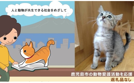 【鹿児島市の動物愛護活動を応援】（返礼品なし）1,000円　K000-CFA0001