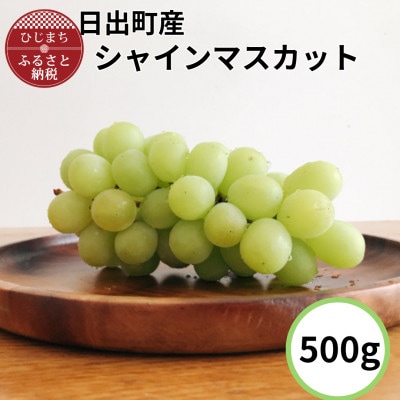 【日出町産】シャインマスカット(約500g)【配送不可地域：離島】【1758854】