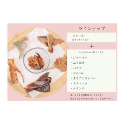 ふるさと納税 米子市 鳥取県米子市!山陰沖朝どれ鮮魚で作るわんことにゃんこのための贅沢3品詰め合わせ! |  | 02