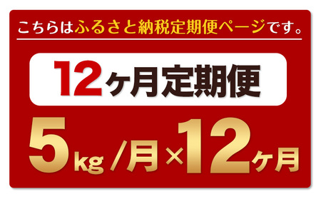 【12ヶ月定期便】熊本ふるさと無洗米 5kg 訳あり《お申込み月の翌月から出荷開始》|定期 熊本県産 御船町 無洗米 お米 おこめ 熊本 SDGs むせんまい kome musennmai 米 ふるさ