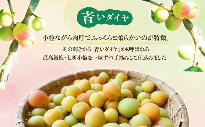梅シロップ 七折小梅の梅シロップ 500ml×2本 / 梅シロップ 七折小梅 無添加 梅ジュース 国産 / 愛媛県砥部町/農事組合法人ななおれ梅組合 [BJAG001]