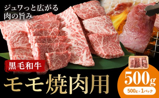 牛肉 くまもと 黒毛和牛 モモ 焼肉用 500g 熊本県畜産農業協同組合 【配送不可地域あり：離島】《60日以内に出荷予定(土日祝除く)》 熊本県 産山村 牛肉 くまもと黒毛和牛 焼肉 モモ肉 もも 赤身 BBQ