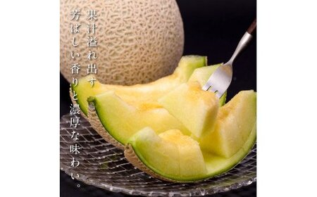 高知県産 最高級マスクメロン＆小玉スイカセット【発送期間：4月～12月（9カ月）】【1月～3月は気候温度不安定の為出荷不可となります。】 