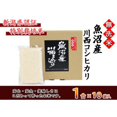 ふるさと納税 十日町市 【無洗米】 新潟県魚沼産 川西コシヒカリ 1合×10袋入