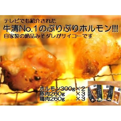ふるさと納税 南伊勢町 牛清 特製みそダレ Nセット 牛ホルモン300g×2、豚肉×3、鶏肉×3 キャンプやBBQで大活躍 |  | 01