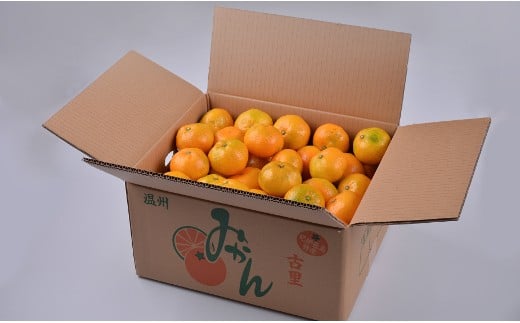 
            古里の温州みかん「潮風みかん」6.5㎏〈かきうち園芸〉【A71】
          