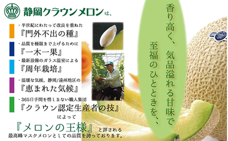 メロン 極み×1玉 桐箱 3ヶ月定期便 果物類 メロン
