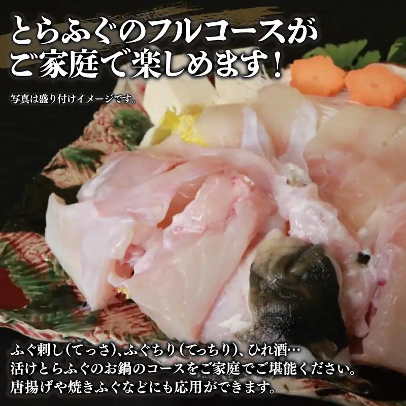 国産活け とらふぐ ふぐちり／ふぐ刺し セット 2人前