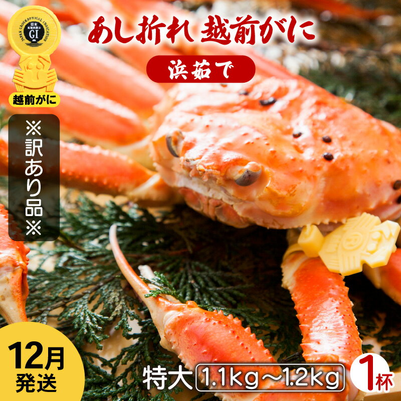 【ふるさと納税】【訳あり】足折れ 越前がに 特大サイズ × 1杯（1.1〜1.2kg）地元で喜ばれるゆで加減・塩加減で越前の港から直送！【雄 ズワイガニ ずわいがに 姿 ボイル 冷蔵 福井県】【12月発送分】希望日指定可 備考欄に希望日をご記入ください [e23-x014_12]