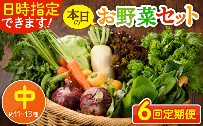 日時指定可能！本日のお野菜セット（サイズ中）約11～13種【全６回定期便】