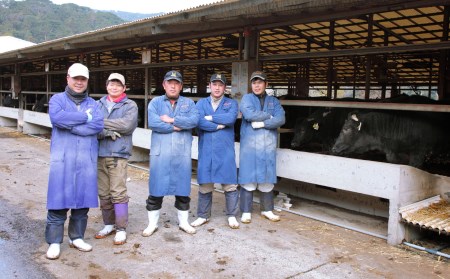 【A4ランク未経産牛】黒毛和牛赤身がｼﾞｭｰｼｰ♪ モモ ステーキ セット (Meat you/022-1015) ステーキ 和牛 牛肉 ステーキ 赤身 牛 ステーキ 和牛 ステーキ 赤身 牛肉